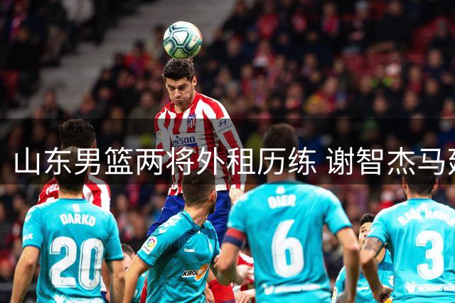 山东男篮两将外租历练 谢智杰马延东分赴晋宁两队